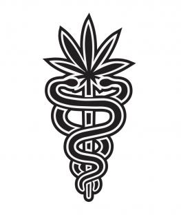 Cannabis-based Medicine
