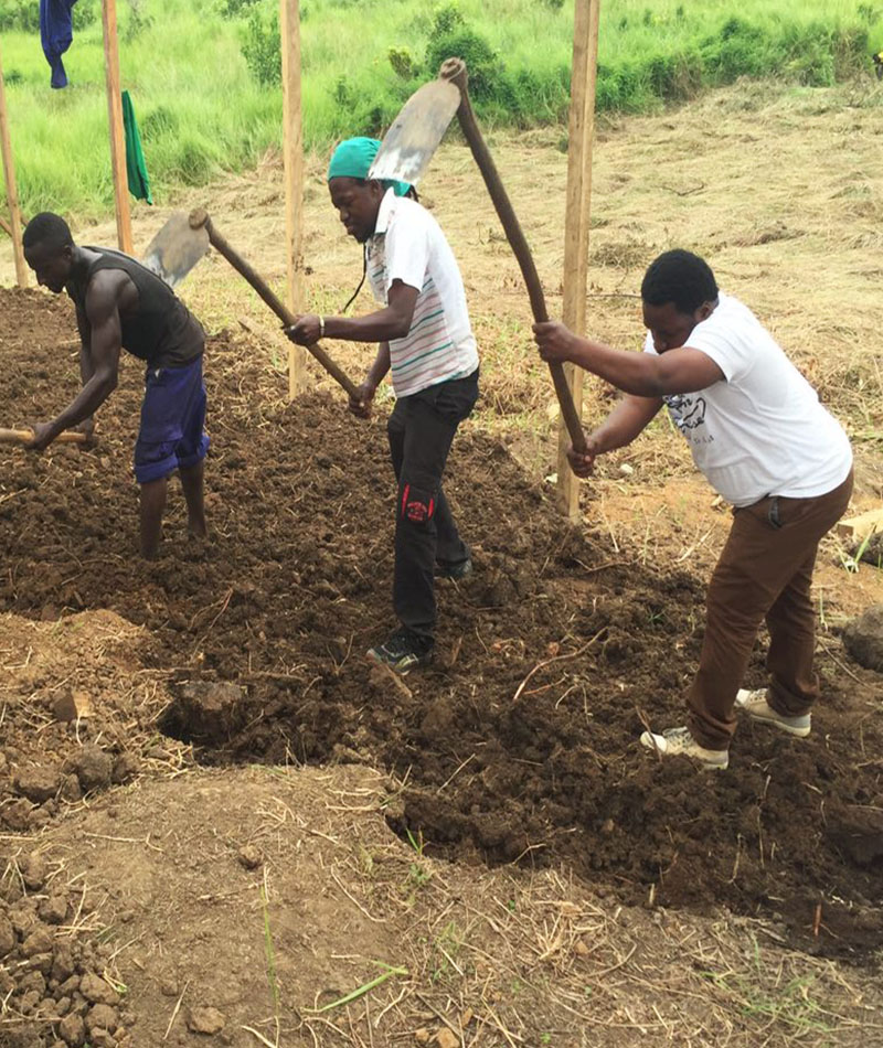 Farm Construction-1